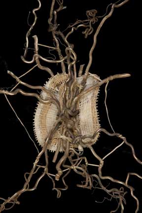 Judy Zugish sculptural basketry