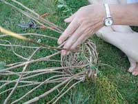 Beginning to weave herbs