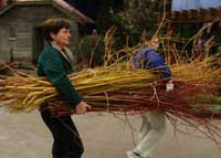 Judy Zugish carrying willow branches from the garden